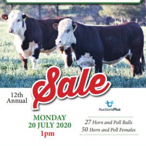 2020 Bull and Female Sale