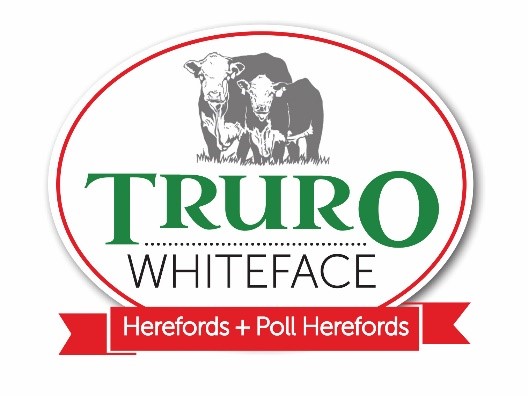 Welcome to Truro Whiteface